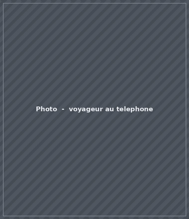 Voyageur consultant son telephone avant son transport