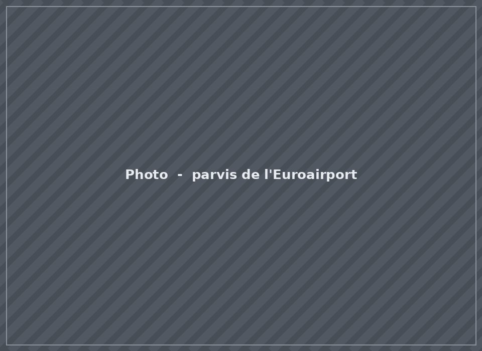 Parvis de l'aeroport de Mulhouse-Bale